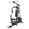 VidaXL Weight Bench Weight Training Station Fitness Workout Gym 90485