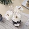 5Pcs Flower Shaped No Fire Aroma Diffuser Sticks Household Bedroom Rattan Stick