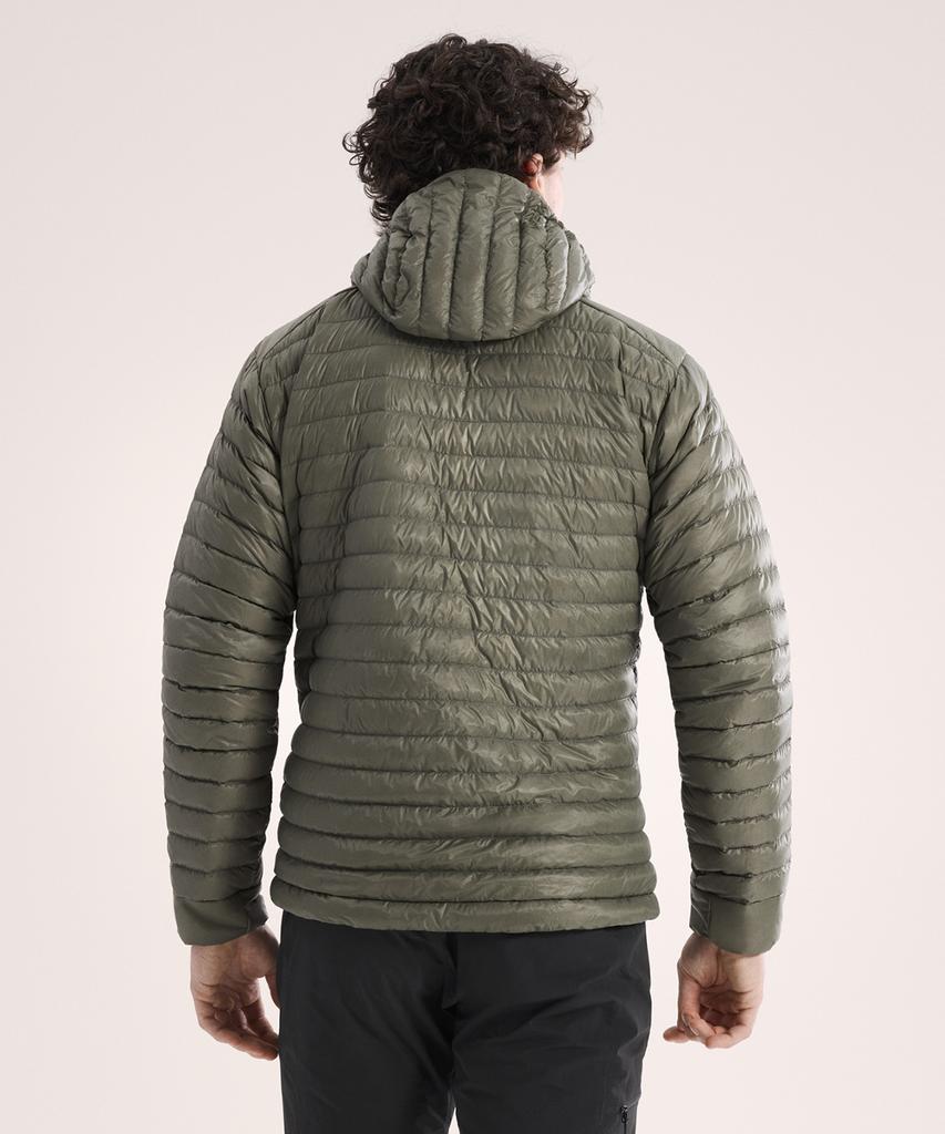 Arcteryx Cerium Sl Hoodie Men'S - Forage / Ajqsm11036