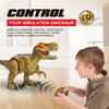 New Remote Control Tyrannosaurus Rex Simulation Sound Effect Electric Walking Jurassic Remote Control Dinosaur Toy Children's Gift