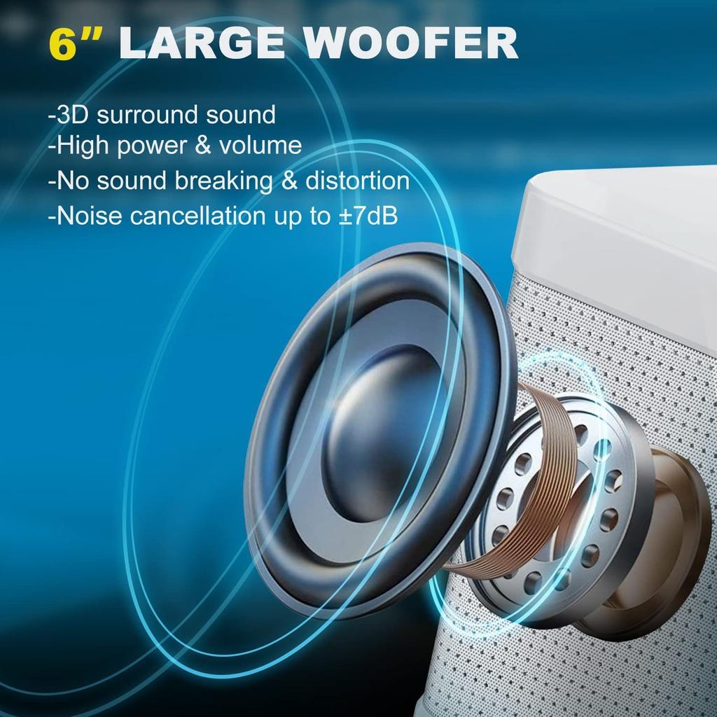20W Powerful Wireless Portable Dual Microphone Bluetooth Sound Outdoor Family Party Karaoke Subwoofer Boom Box with 2 Microphone