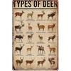 FEBIOAW Vintage Metal Sign Wall Decal Types Of Deer Knowledge Tin Sign, Wall Art Retro Tin Sign Metal Poster for Home Bar Cafe Garage Personalized