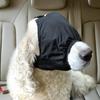 Puppy Eye Wrap for Small Medium Large Dog Eye Mask for Calming Grooming Bathing Blowing Drying Supply