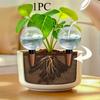 1PC 500ML Transparent Spherical Automatic Watering Device, Suitable for Drip Irrigation Systems for Succulents and Indoor Plants, Lasting Moisturizing