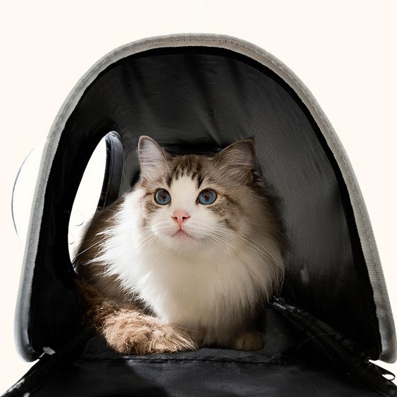 Рюкзаки для переноски кошек, сумки для переноски домашних животных для маленьких собак, прозрачные окна, дышащие переноски для собак и кошек для путешествий на открытом воздухе