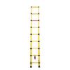 Weiguang Fiberglass Insulated Telescopic Ladder