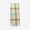 Warm Thick Plaid Imitation Cashmere Autumn and Winter Tassel Scarf