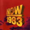 CD VARIOUS - Now 1983: 40 Hits of 83 724382705925 EMI 1993 UK Dance & Electronica Used