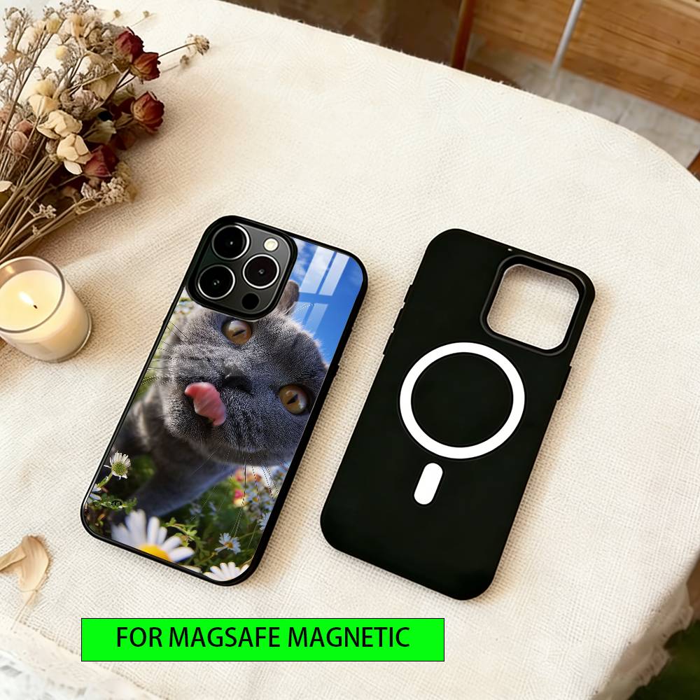 Милый кошачий вайб Чехол для телефона для iPhone 17, 16, 15, 14, 13, 12, 11 Plus, Pro Магнитный с Magsafe Беспроводная зарядка