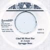 7-дюймовая пластинка SPRAGGA BENZ Glad Mi Meet Har Версия DR4333 Awful Music 2002 Ямайка Регги Ска Даб Б/У