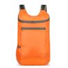 2024 Foldable Large-Capacity Portable Sports Travel Backpack