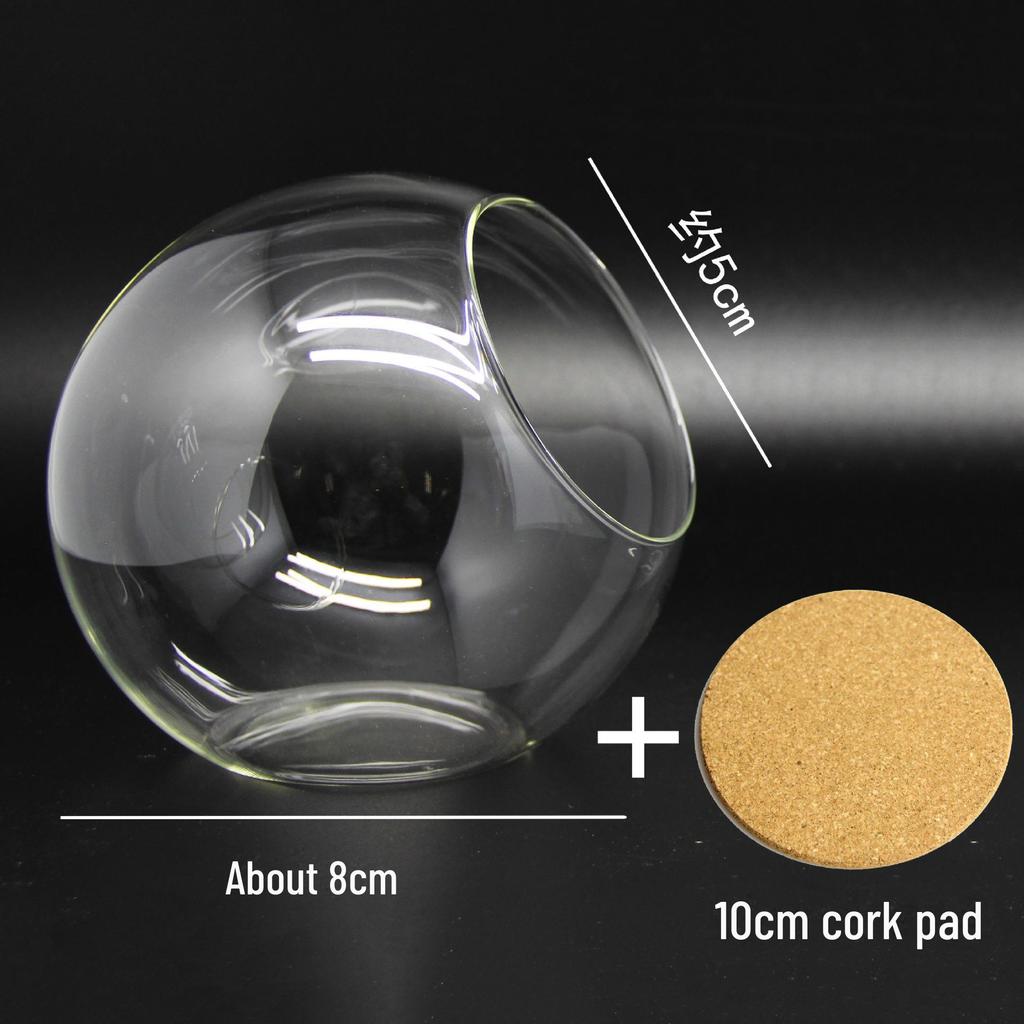 Круглая стеклянная ваза с косым горлышком для суккулентов и микроландшафтов