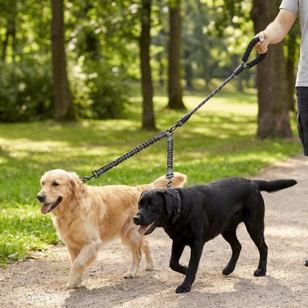 Shock Absorbing Two Dog Lead Rope Stretchable Nylon Double Headed Leash Multifunctional Comfort Handle Double Head Dog Rope