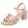 Fashion AIYUQI  Women's Sandals Summer 2025 New Thick Heel High Heels Female Large Size Roman Sandals For Women
