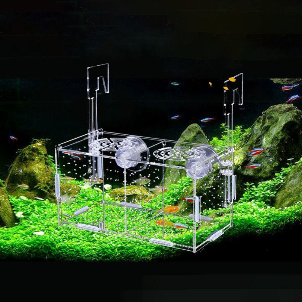 Для мальков аквариумные принадлежности инкубатор инкубатор ящик для разведения рыб ящик для разделения рыб