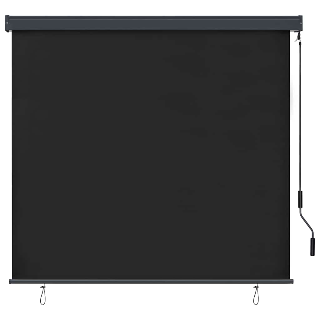 Anthracite Outdoor Roller Blind 180 x 250 cm Fabric and Aluminum