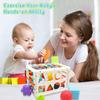 Montessori Toys,Upgrade Baby Shape Sorter Toys with Elastic Bands Sensory Shape Building Blocks,Fine Motor Skill,Baby Toys 18+ Months,Boys Girls Gifts