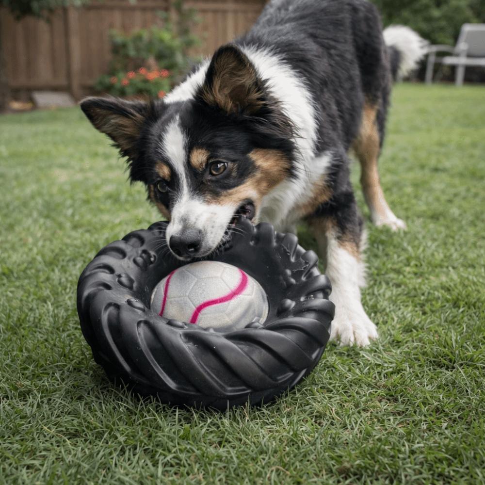 Elasticity Interactive Dog Toy Squeak Sound Dog Chew Wheel Toy Creative Molar Toys Indoor Play