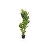 Decorative Plant DKD Home Decor Polyethylene Green 40 X 40 X 120 Cm Urban