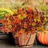 5/12Pcs Fall Artificial Violet Flower Realistic Fake Silk Flower Home Office Wedding Party Table Centerpiece Indoor Outdoor Faux Bloom Plants