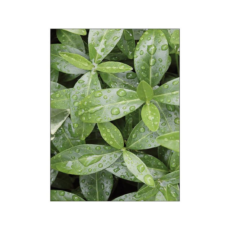 Скандинавский весенний пейзаж, холст, картина, постер, дикий цветок, животное, лиса, лось, белка, природа, одуванчик, современная картина, домашний декор