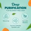 Himalaya Herbal Purifying Neem Pack 50г Натуральная маска для лица для ухода за жирной и проблемной кожей