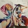 [USED] Ikki Tousen Master Works Yuji Shiozaki Art Collection