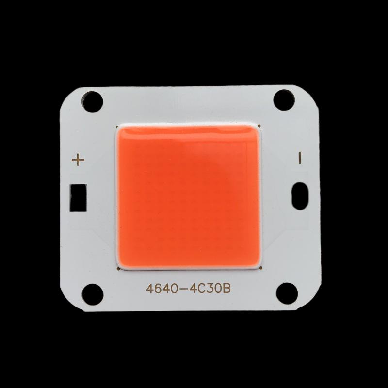 12 В 50 Вт COB светодиодная плата без драйвера, теплый белый светодиодный чип высокой яркости.