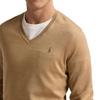 Polo Ralph Lauren Sweater Standard Men's Brown 710941105-009