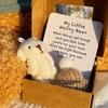Mini Bear Hug Cute Stuffed Animal Gifts,Pocket Teddy Bear Mini Plush Bears In Box,Pocket Bears With Inspirational Card
