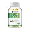 High-concentration olive leaf extract, natural plant extracts, 750 mg, daily nutritional supplement for adults, 120 capsules.