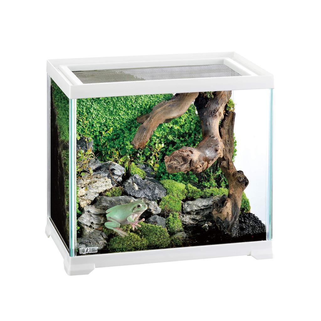 EXOTERRA GEX EXOTERRA Reptile White 300 High Small Reptile Glass Cage White Frame x D20 x Клетка для разведения W31.6 H28.2cm Reptile/Amphibian
