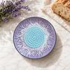 Ginger Grater Plate Ceramic Garlic Plate, Embossed Cheese Manual Grinder, Multi-function Spice Paste Maker Kitchen Mincer Dish for Onion, Lemon,