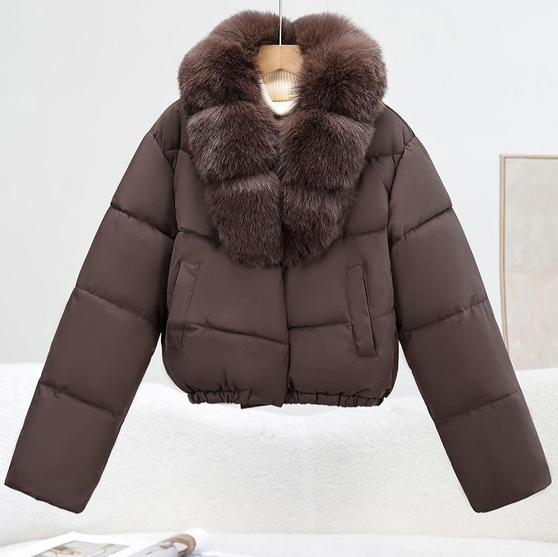 Winter new women's fashion big fur collar warm down cotton clothes short small cotton-padded coat