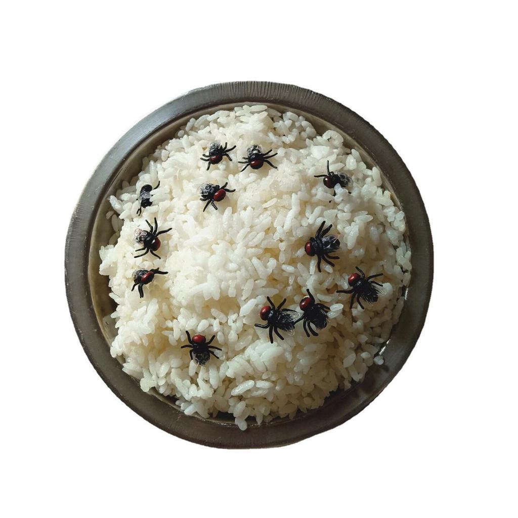 Отвратительная игрушка-розыгрыш с мухой - Страшный прикол на День дурака