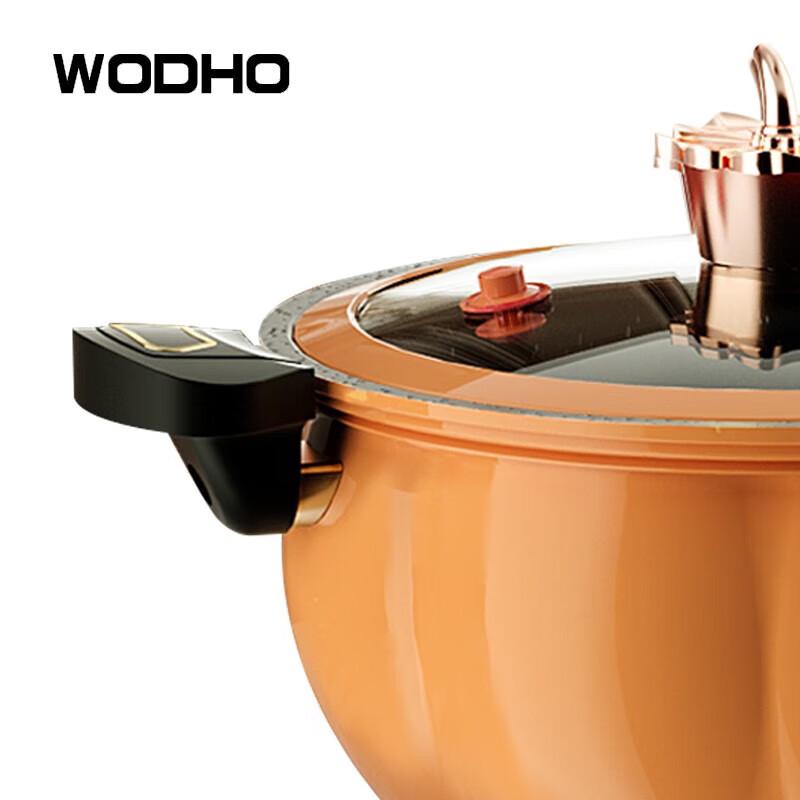 WODHO 7L Micro Pressure Cooker