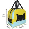 Cat Insulated Lunch Bag Reusable Cooler Thermal Tote Bag with Front Pocket for Women Men Travel Work Hiking Picnic Lunch Box
