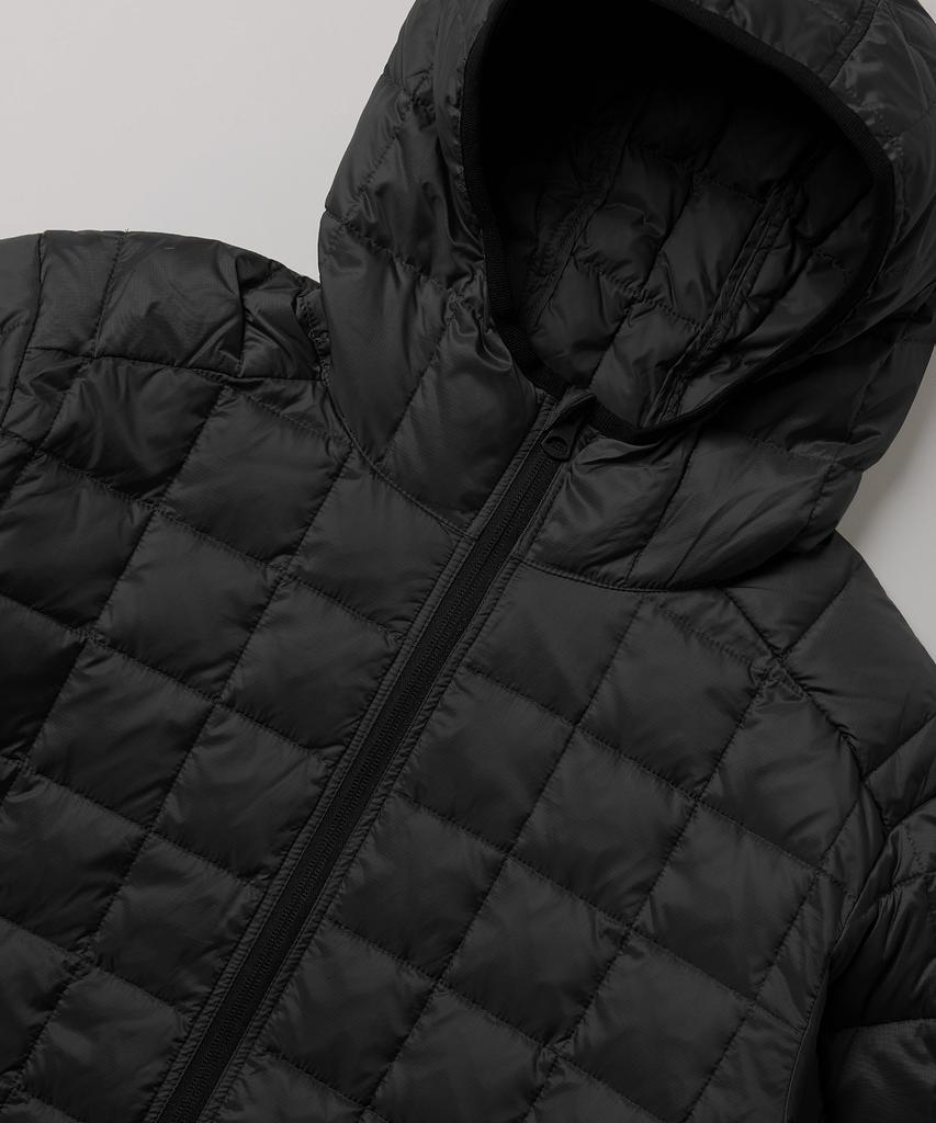 Dickies Легкая пуховая куртка с капюшоном Черная