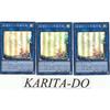 Yu-Gi-Oh! LVP3-JP006 Destruction Swordsman's Guardian Dragon Super Rare Set of 3