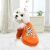 2024 New Winter Dog Coats Cotton Soft Wear Autumn Fleece Jackets Chihuahua Outfit Clothing Pet Supplier Product Small Medium 2XL