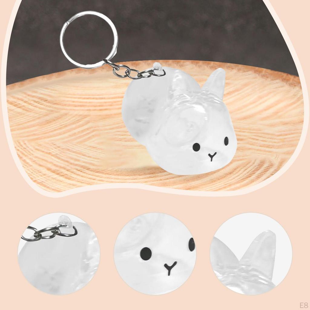 Collector Keyring for Pet Lovers Hair Holder Memorial Storage Box