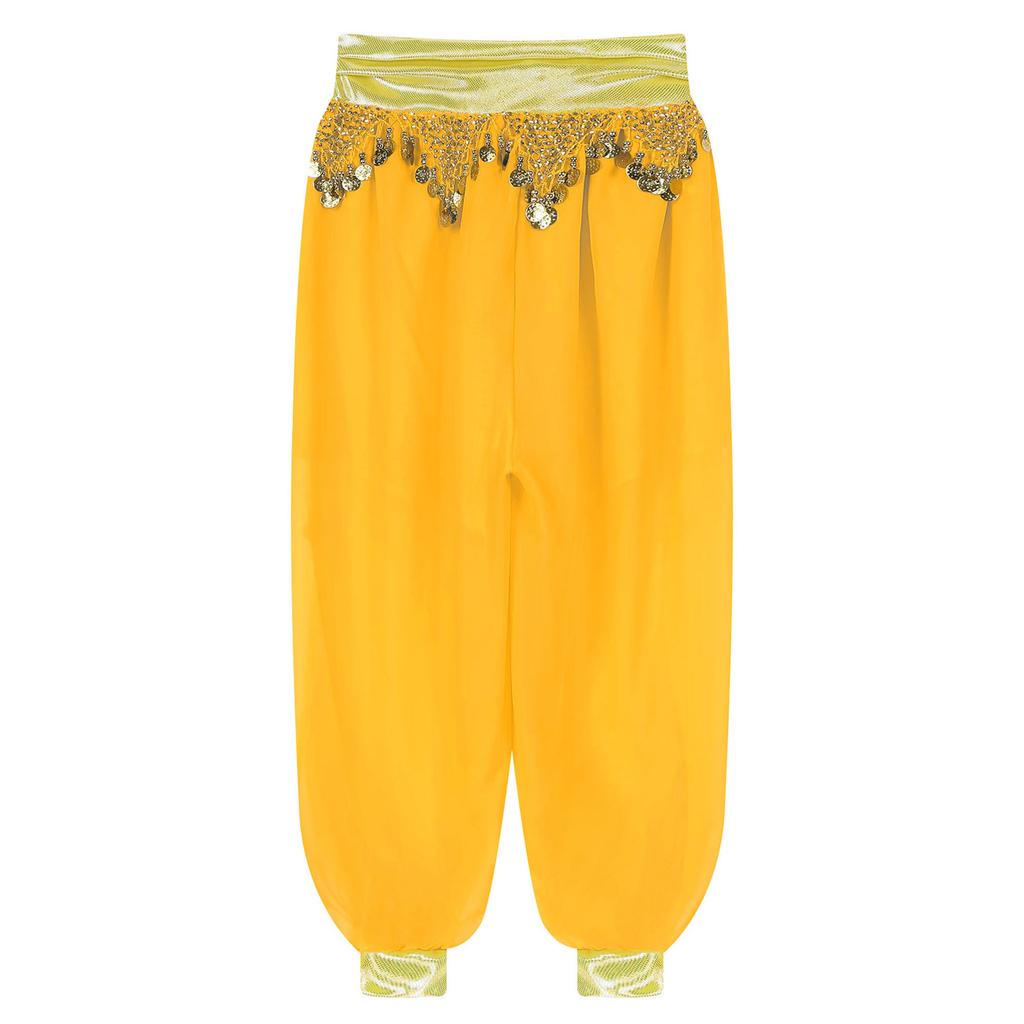 Belly Dance Bloomers for Women Halloween Carnival Costume Chiffon Tassel Beads Metallic Ruched Waist Side Split Pants