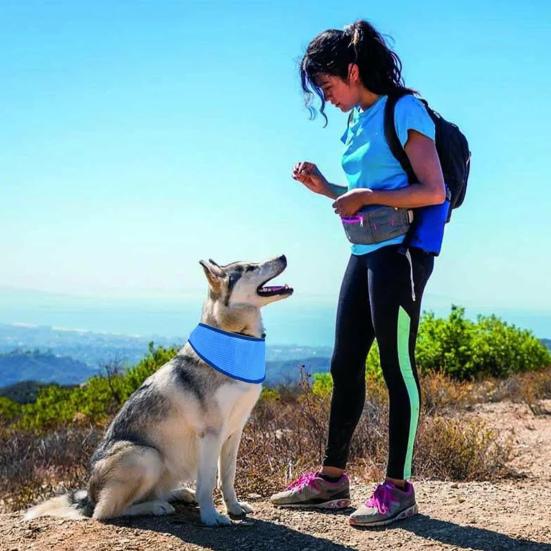 2 шт. охлаждающая бандана для собак, летний шарф для мгновенного охлаждения домашних животных, регулируемый охладитель для шеи со льдом для мелких, средних и крупных пород, чтобы предотвратить солнечный удар