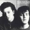 Виниловая пластинка TEARS FOR FEARS  Songs From The Big Chair  3794995 MERCURY 2014 Европа Рок