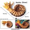 Marine Animal Simulation Models: Jellyfish, Octopus, Sea Shrimp, Sea Anemone, Squid, Horseshoe Crab, Crayfish, Arrowhead