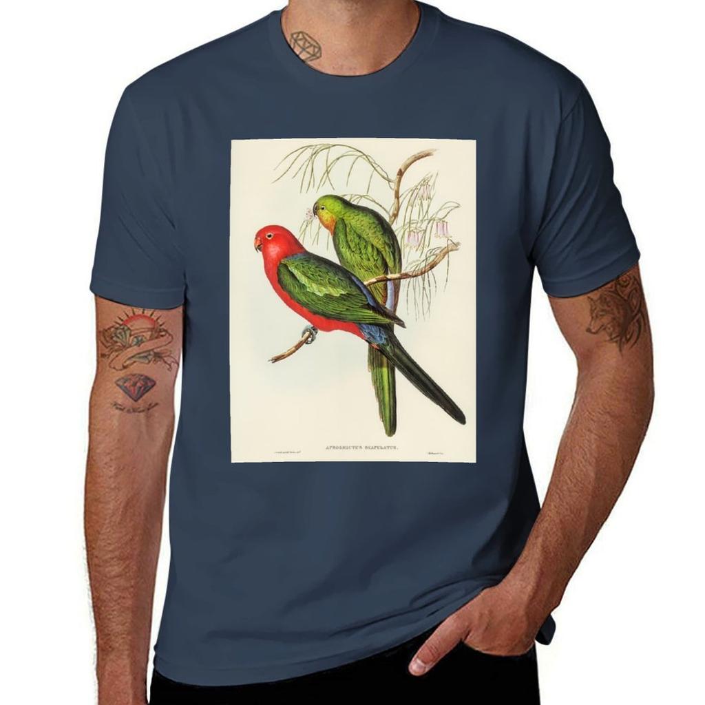 shirts John white for T-Shirt shirts t t man King man Parrot Gould pack cotton pack for