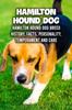 Книга Hamilton Hound Dog : Hamilton Hound Dog Breed History, Facts, Personality, Temperament and Care: Hamilton Hound Dog Handbook