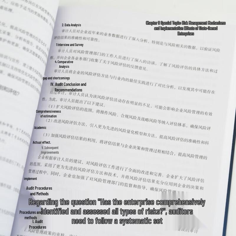 Руководство по аудиту экономической ответственности для ГУП