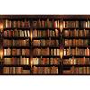 Фон книжной полки Назад в школу Винтажный деревянный книжный шкаф для библиотеки и кабинета Фон для портрета ребенка для фотографии Фотостудия