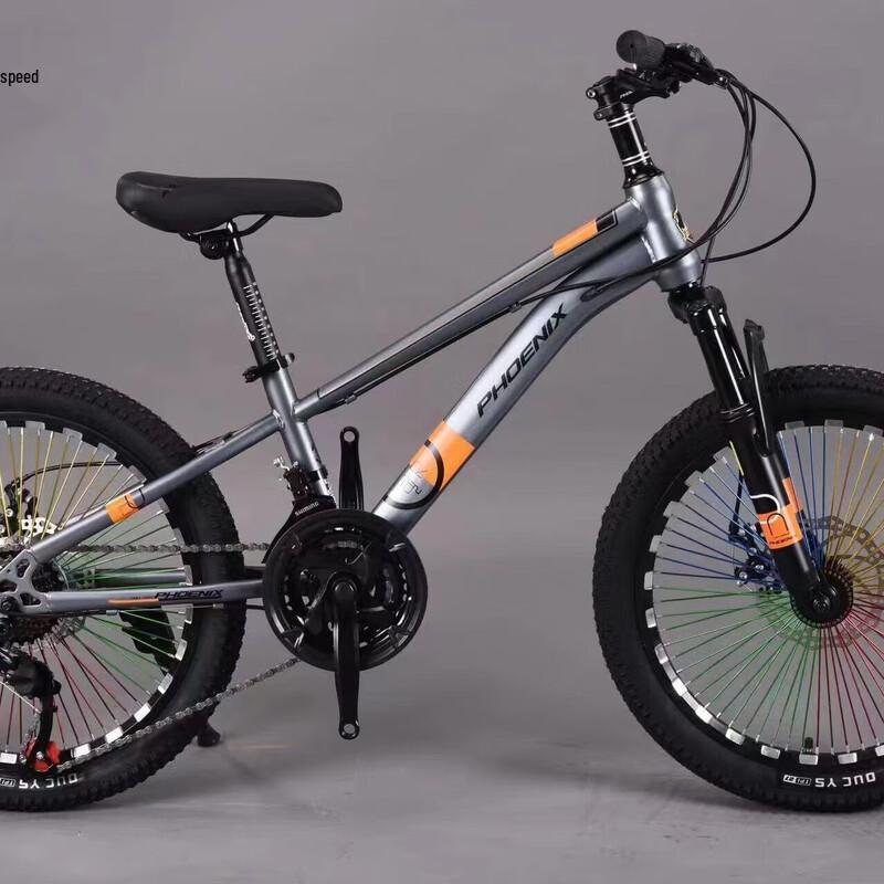 Phoenix 22-inch Youth Mountain Bike